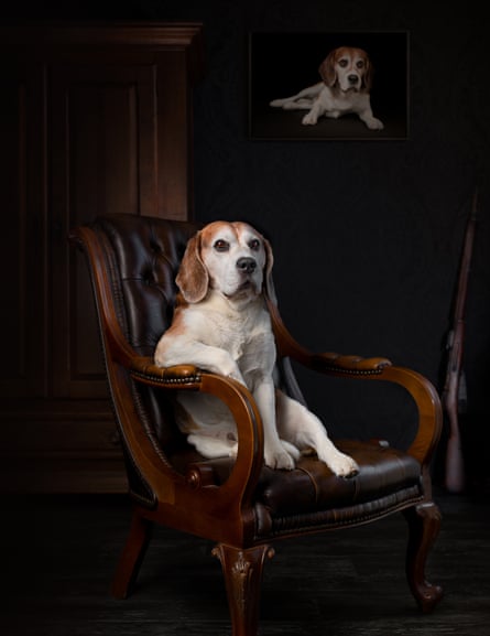 A beagle sitting in an antique leather chair, with a shotgun leaning against a wall and a portrait of the same dog on the wall behind him