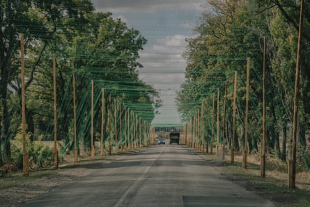 A road protected by suspended netting with trees lined on both sides and two vehicles in the distance