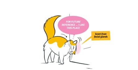 Extracted from KITTY LANGUAGE by Lili Chin