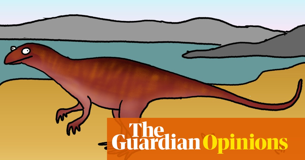 Dinosaur footprints discovered within the Banana Shire? A real and in addition good story the place nothing unhealthy occurs | First Canine on the Moon