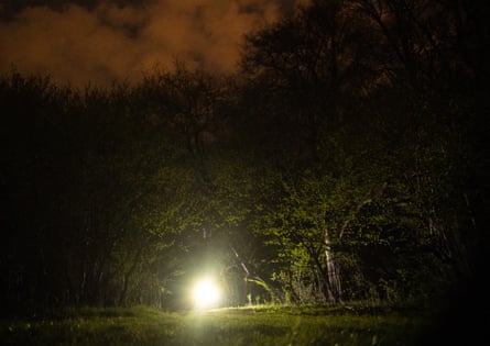 A green light and orange clouds during an evening walking tour of Hoia-Baciu
