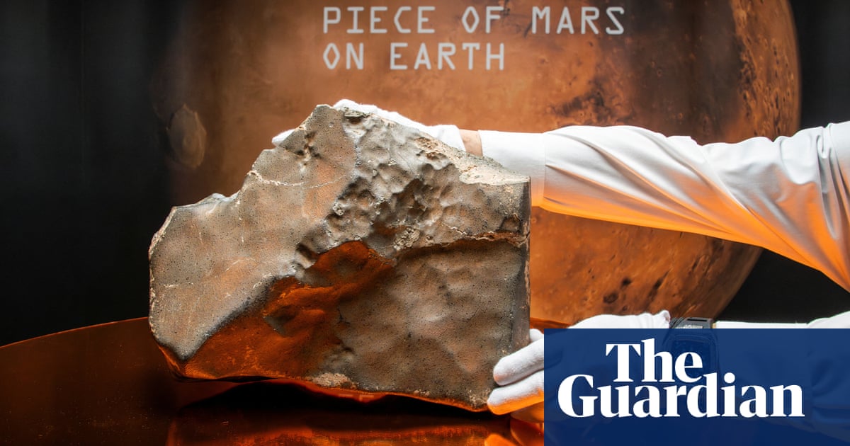 Largest piece of Mars on Earth sells for over $5m at New York auction