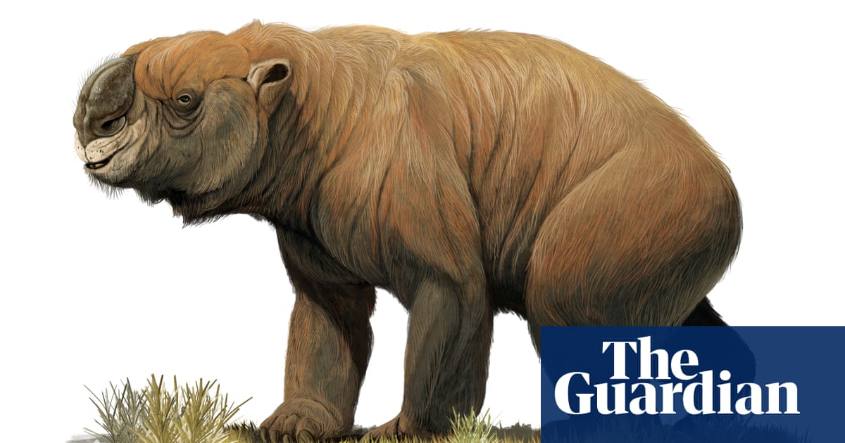 Make way for megamarsupials the migration of Australia's extinct megafauna Animals The Guardian Make way for megamarsupials the migration of Australia's extinct megafauna Animals The Guardian