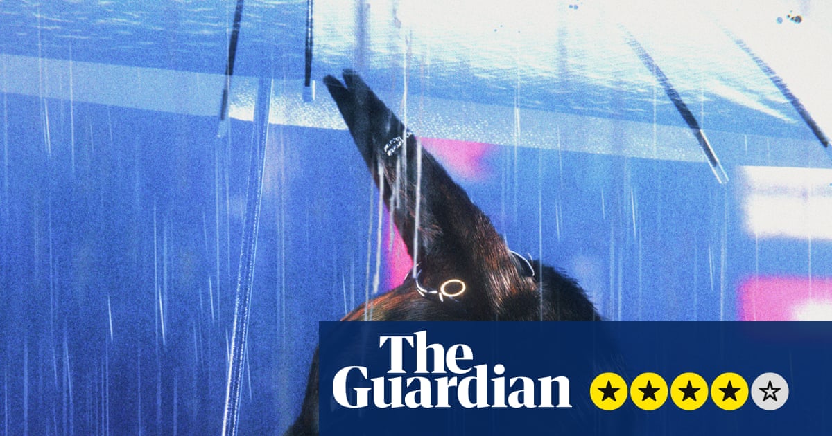 Bouchra review – Prada-wearing coyote is anti-identitarian alter ego in film that maps queer experience