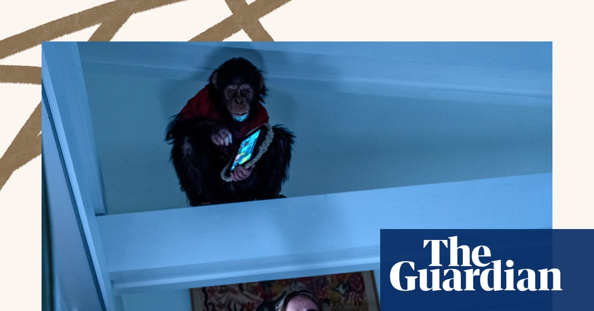 Primate to Tyler Ballgame: the week in rave reviews