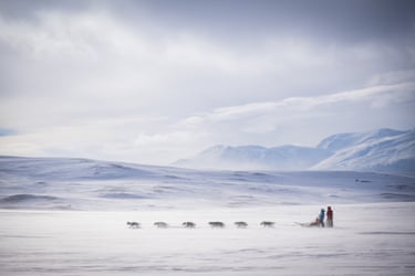 A dog sled in a snowy landscape