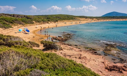 curved wild sandy beach with woods behind
