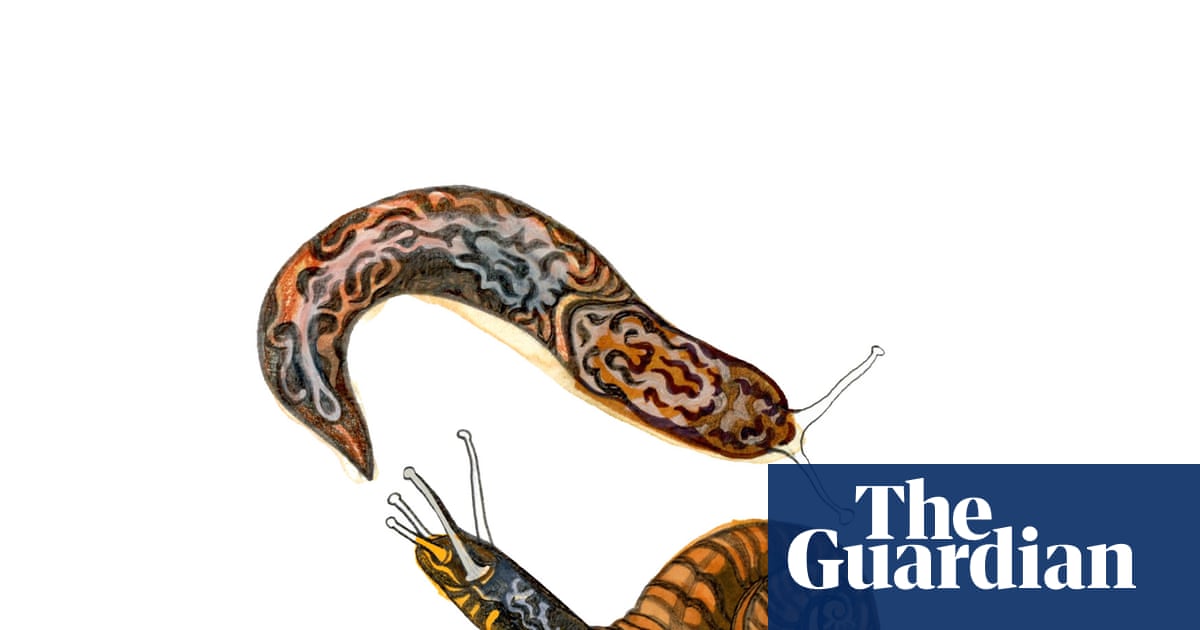 How are snails and slugs different and what do whales eat? The kids’ quiz