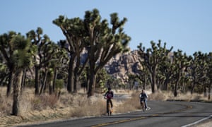 Visitors ride their bikes along the road at Joshua Tree national park in the Mojave desert.