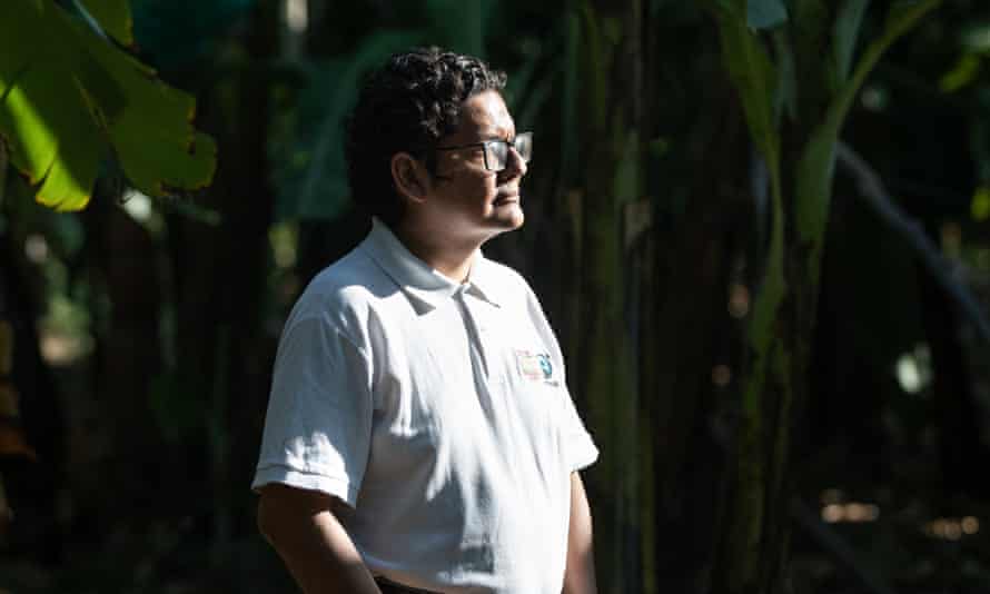 ويلي باراديس