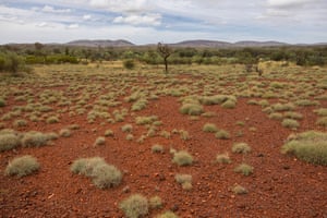 A scrubby plain with hills in the distance