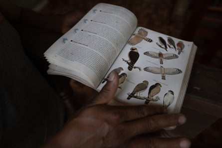 Norbil Becerra lit une encyclopédie de reconnaissance des oiseaux dans son sanctuaire au bord de l'Alto Mayo.