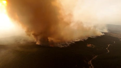 Thousands in Greece and Turkey evacuate as winds and heat fan wildfires | Wildfires | The Guardian