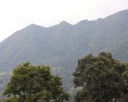 A view of a ridge of forested hills with two trees in the foreground
