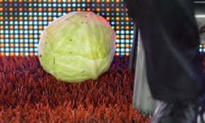 A cabbage at Aston Villa