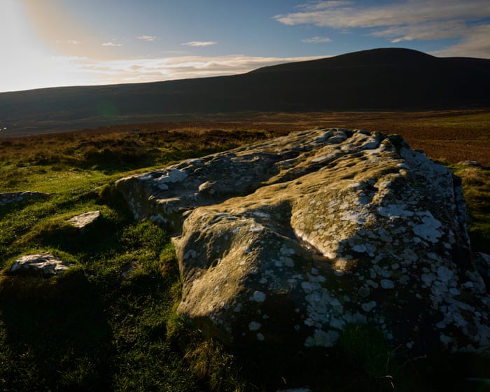 The Wildlife Trusts’ fight to save a historic English landscape – podcast — image supplied by The Guardian UK's feed