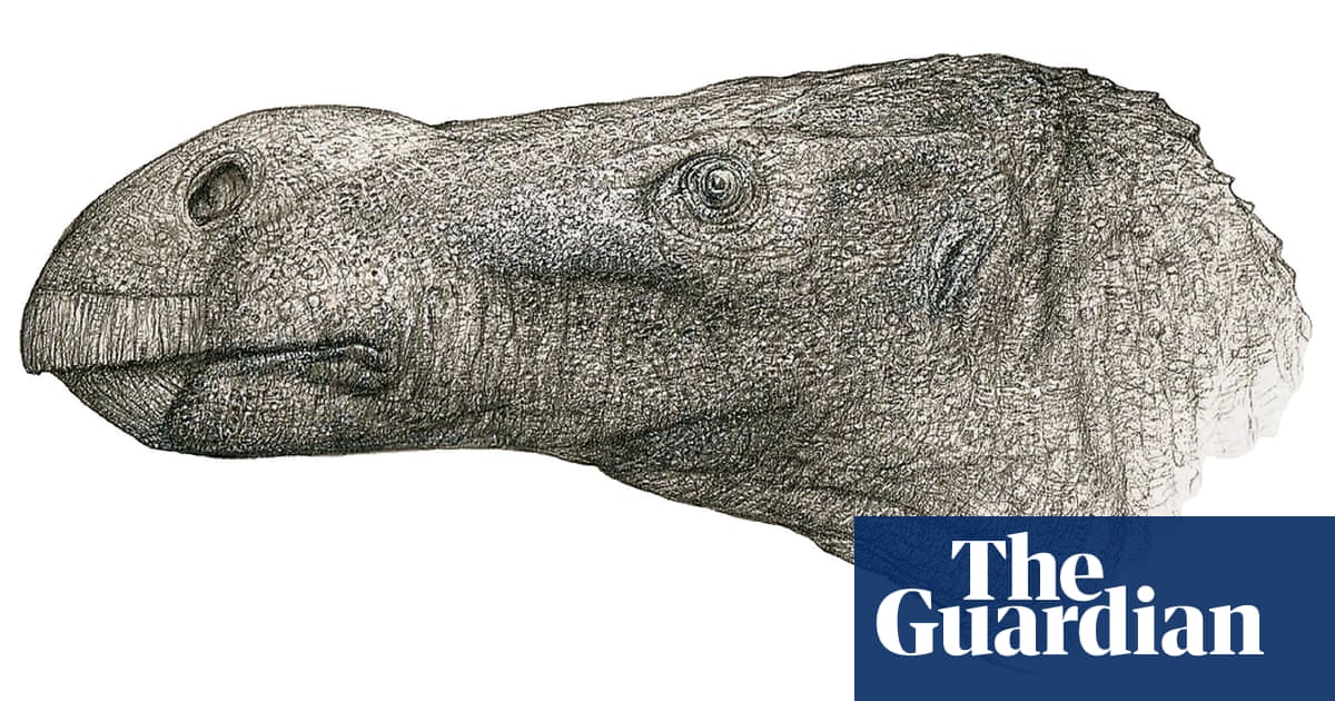 New species of big-nosed dinosaur discovered by retired doctor