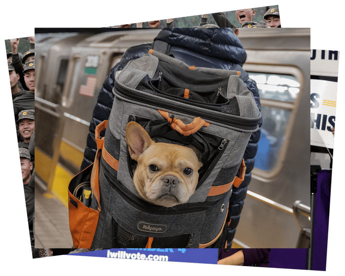 A dog in a bag and a man in a hotdog: photos of the weekend