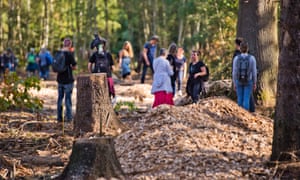 berlin startup offers 1m to save ancient hambach forest from coal