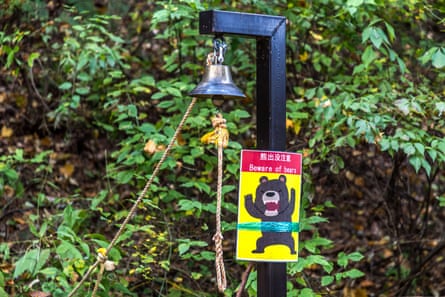 ‘Beware of bears’’