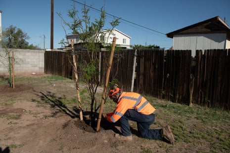 A person in a neon-orange vest is bent over on a knee planting a tree