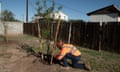 A hood worker plantin trees