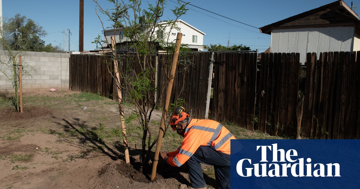 ‘We need more shade’: US’s hottest city turns to trees to cool those most in need | Phoenix