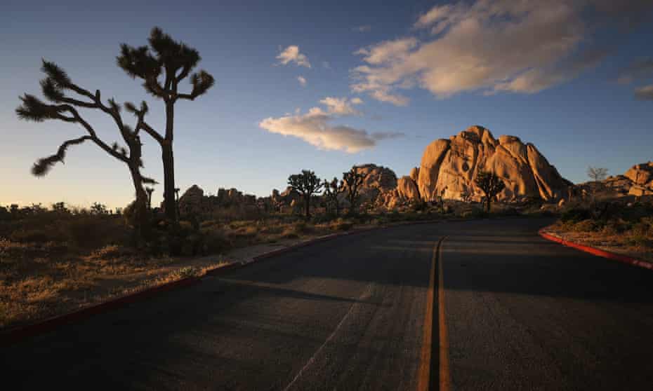 A road leads toward rock formations in Joshua Tree national park.