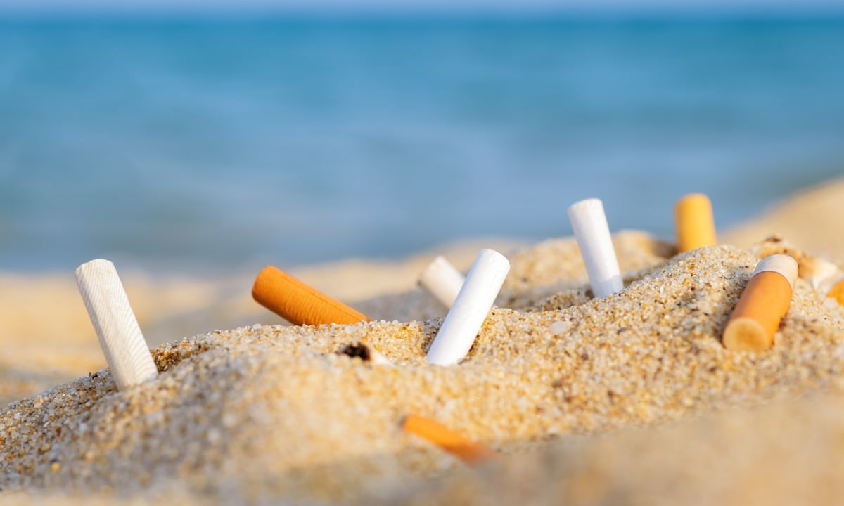 cigarette nicotine content How Much Nicotine Is in a Cigarette: Facts and Breakdown cigarette nicotine content How Much Nicotine Is in a Cigarette: Facts and Breakdown