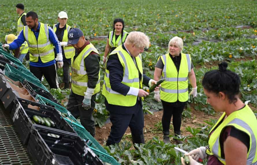 Boris Johnson with vegetable pickers harvesting courgettes during a visit to Southern England Farms Ltd in Hayle in Cornwall this morning.