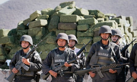 Mexican marines stand in front of about four tonnes of marijuana before its incineration.