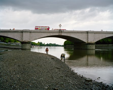 Putney Bridge, London, 11.45am   Treasure hunters scan the beach at low tide.