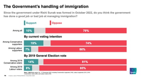 Ipsos polling on government's handling of immigration