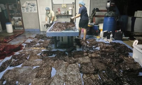Some of the plastic bags extracted from a whale’s stomach in Thailand.