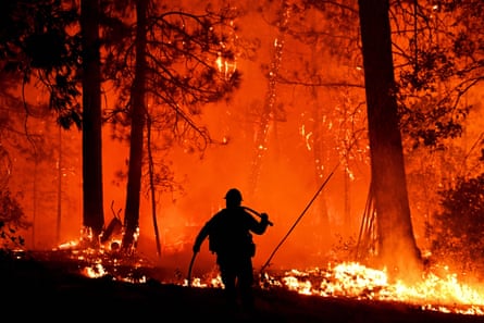 Private firefighters and five-star hotels: how the rich sit out wildfires, Wildfires