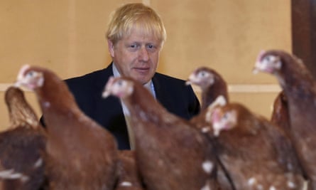 Boris Johnson looks at chickens
