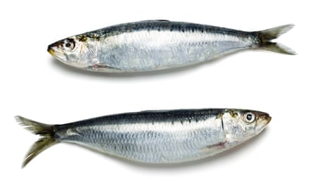 Sardines: eating fish once a week is linked to a 70% reduced risk of Alzheimer’s in old age.