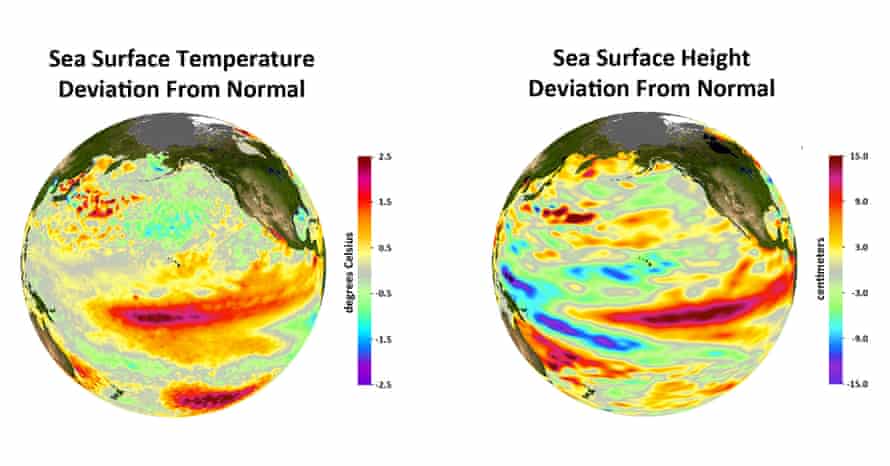Deviations from normal sea surface temperatures (left) and sea surface heights (right) at the peak of the 2009-2010 central Pacific El Niño, as measured by NOAA polar orbiting satellites and NASA’s Jason-1 spacecraft, respectively. The warmest temperatures and highest sea levels were located in the central equatorial Pacific.