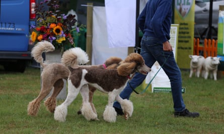 Usk Country Show