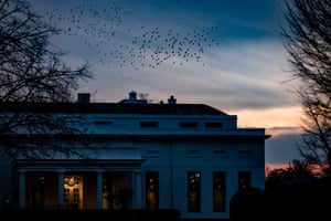 Flocks of birds fly over the West Wing of the White House as the sun sets in Washington.