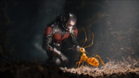 Paul Rudd in Ant-Man: you’ve not seen it unless you’ve seen it in 4DX.