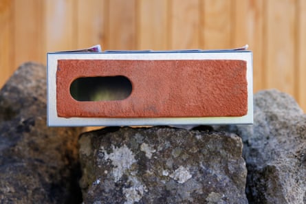 Close-up of the brick with its hole for the swift to get into visible