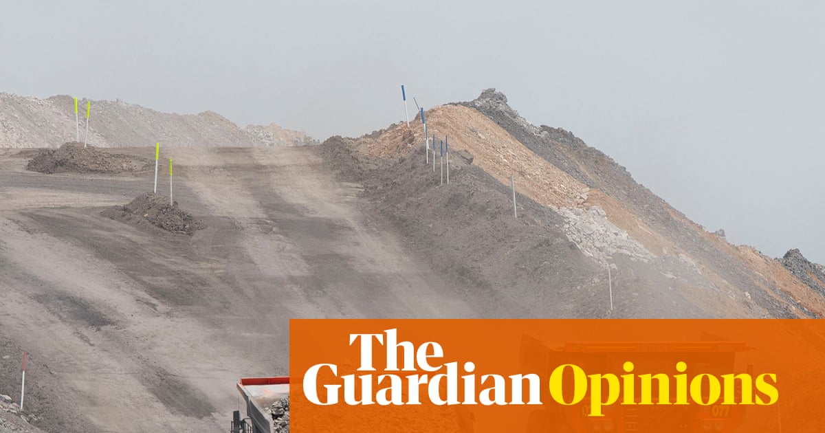 Has the high court set Australia's fossil fuel producers shaking in their boots? They should be | Jacqueline Peel