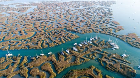 Salt marsh, creeks, sailing boats on a low-lying coast. Drone photo