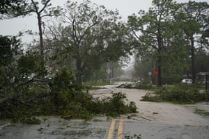 Downed trees in Fort Myers
