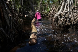 Egbontoluwa Marigi pulls a log through the flooded forest floor
