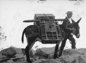 black and white photo of a man walking outside with a donkey carrying camera equipment