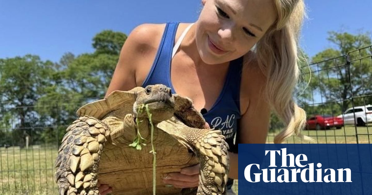 Tornado tortoise' reunited with its family a month after deadly US storms