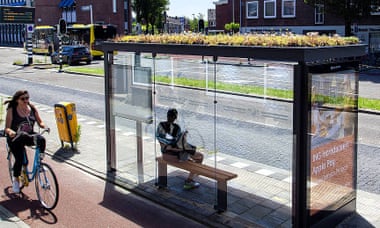 A bus stop with a living roof in the city of Utrecht, the Netherlands