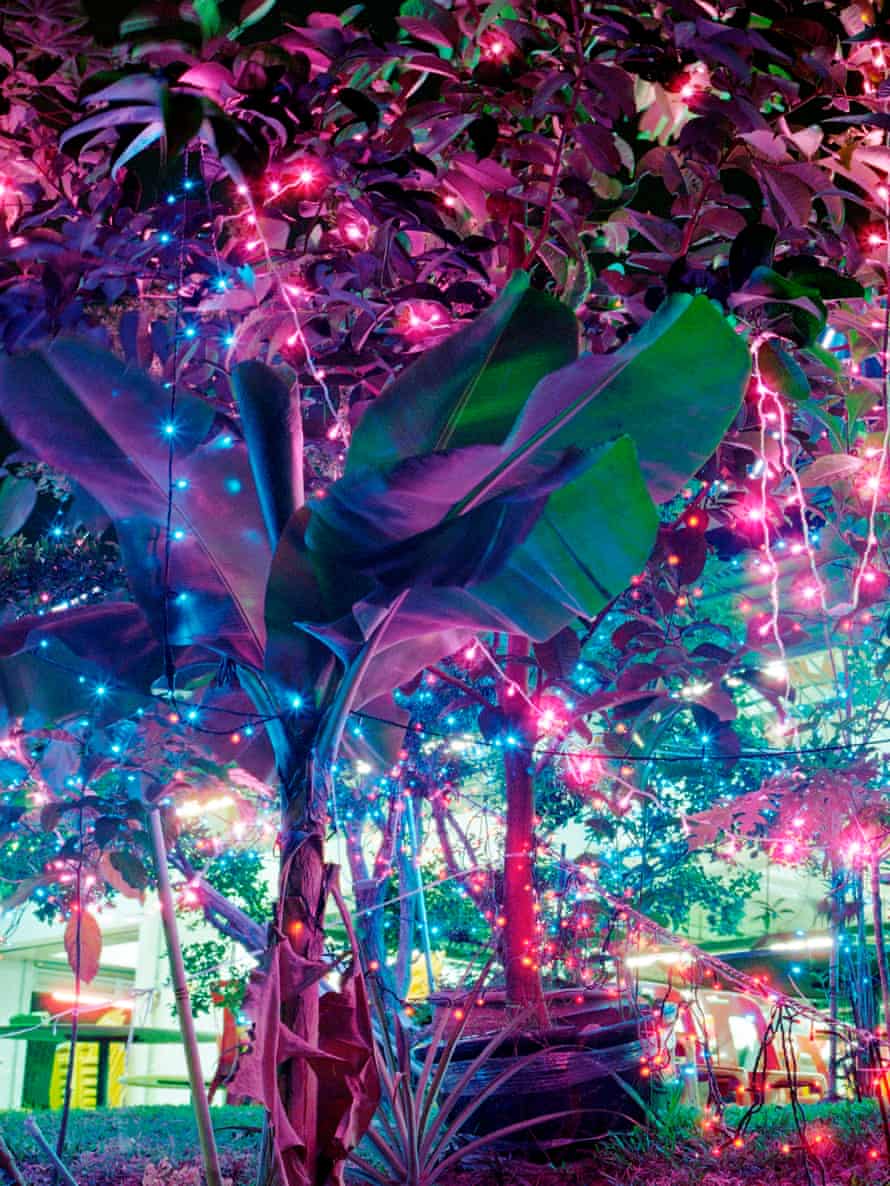 Midnight Sun, oleh Carlos Alba